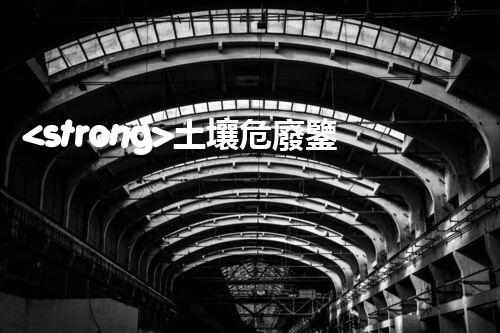 <strong>土壤危廢鑒定流程隱秘的廢棄物：揭開城市底下的神秘面紗！</strong>